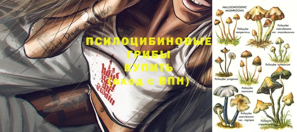 герыч Гусь-Хрустальный