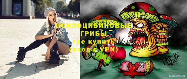 герыч Гусь-Хрустальный