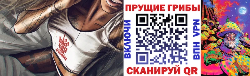 Купить  Новая Усмань  Псилоцибиновые грибы MAGIC MUSHROOMS 